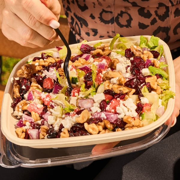 Hands holding a Shahs of Kabob salad with lettuce, feta, walnuts, cranberries, and red onion.